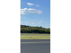 IMG_1386